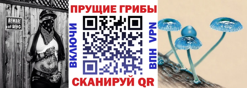 Псилоцибиновые грибы Cubensis  Ртищево 